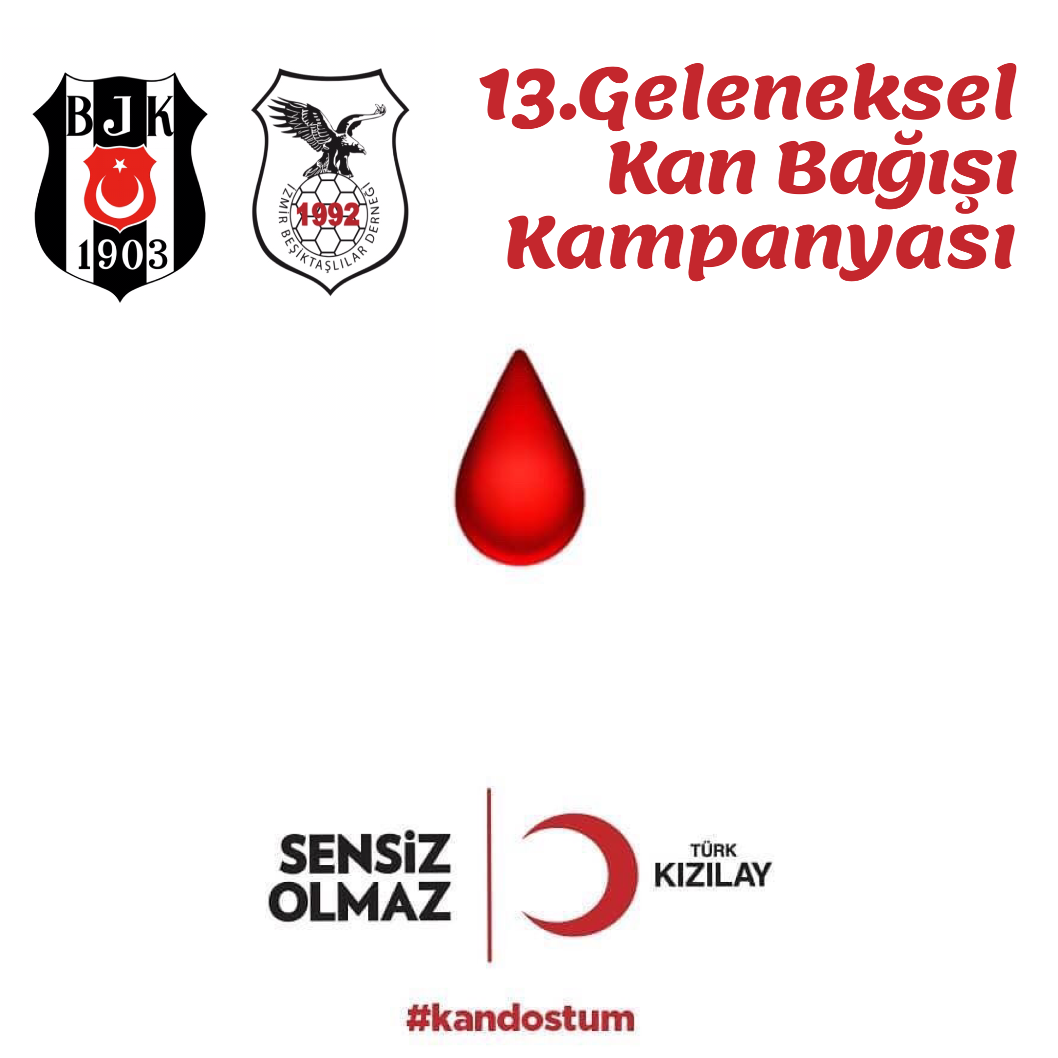 13. Geleneksel Kan Bağışı Kampanyası